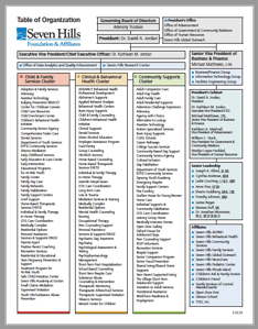 Seven Hills Foundation Organizational Chart