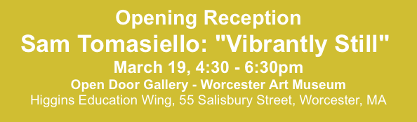 Vibrantly Still” by Sam Tomasiello Coming to ODA @ WAM